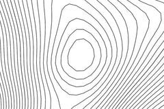 Buffalo Mountain Topographic Map Art